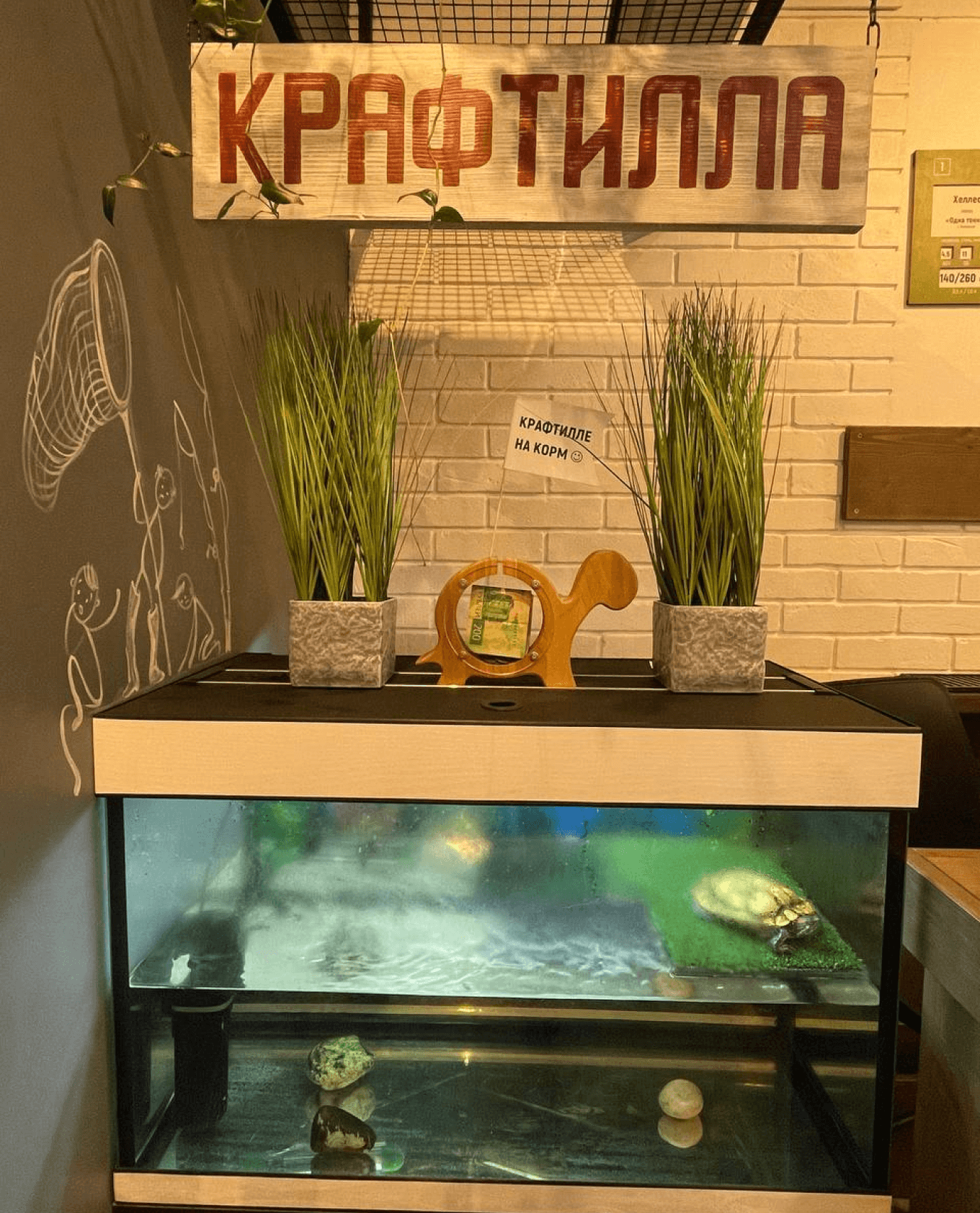 Черепаха Крафтилла в пивном магазине