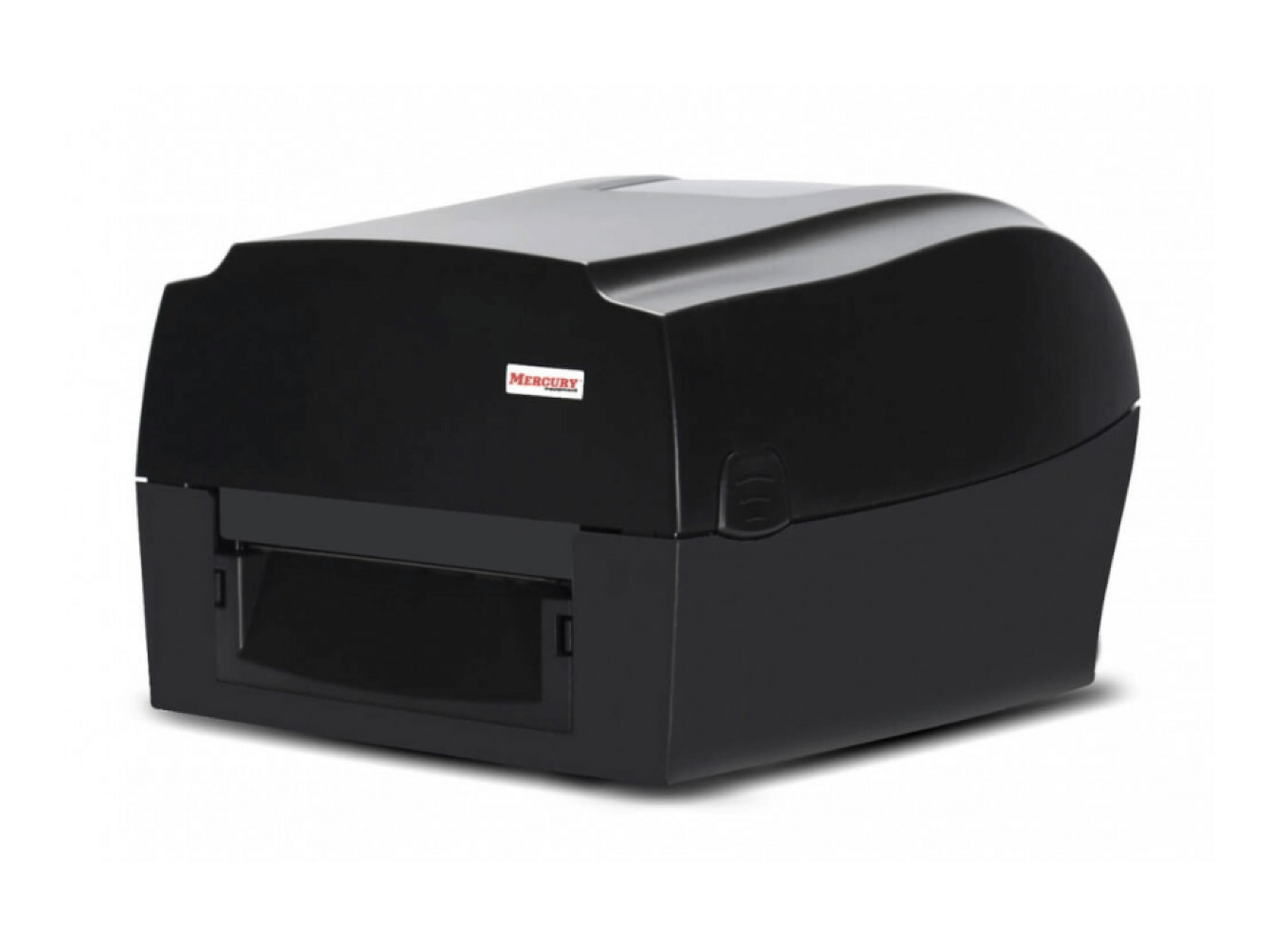 Термотрансферный принтер MPRINT Terra Nova TLP300