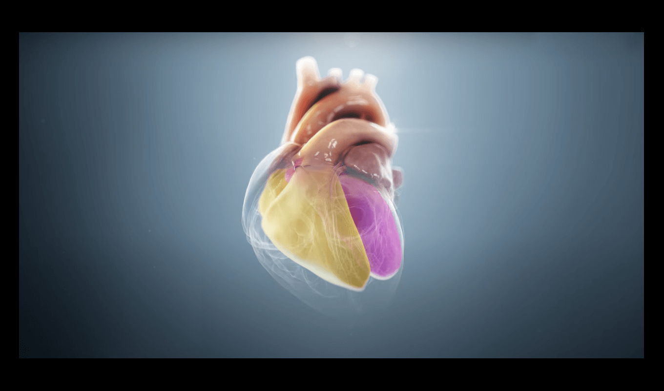 Цифровой двойник сердца от Philips HeartModel
