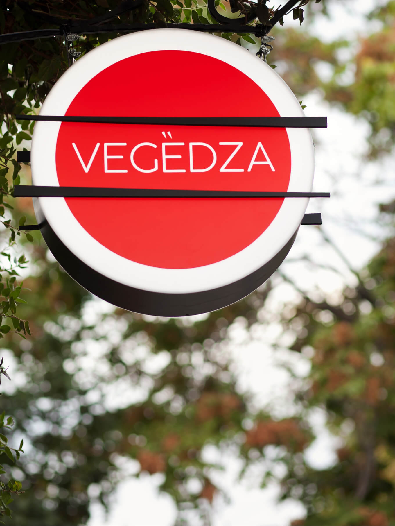 Логотип веган-кафе Vegedza