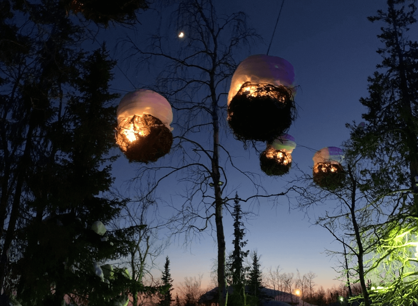 Светильники из веток на дереве