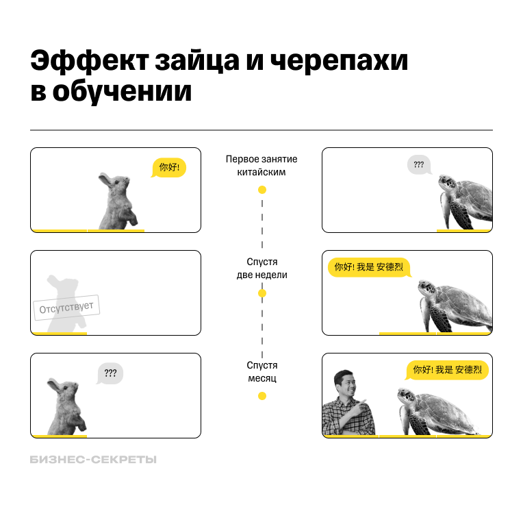 Эффект зайца и черепахи в обучении