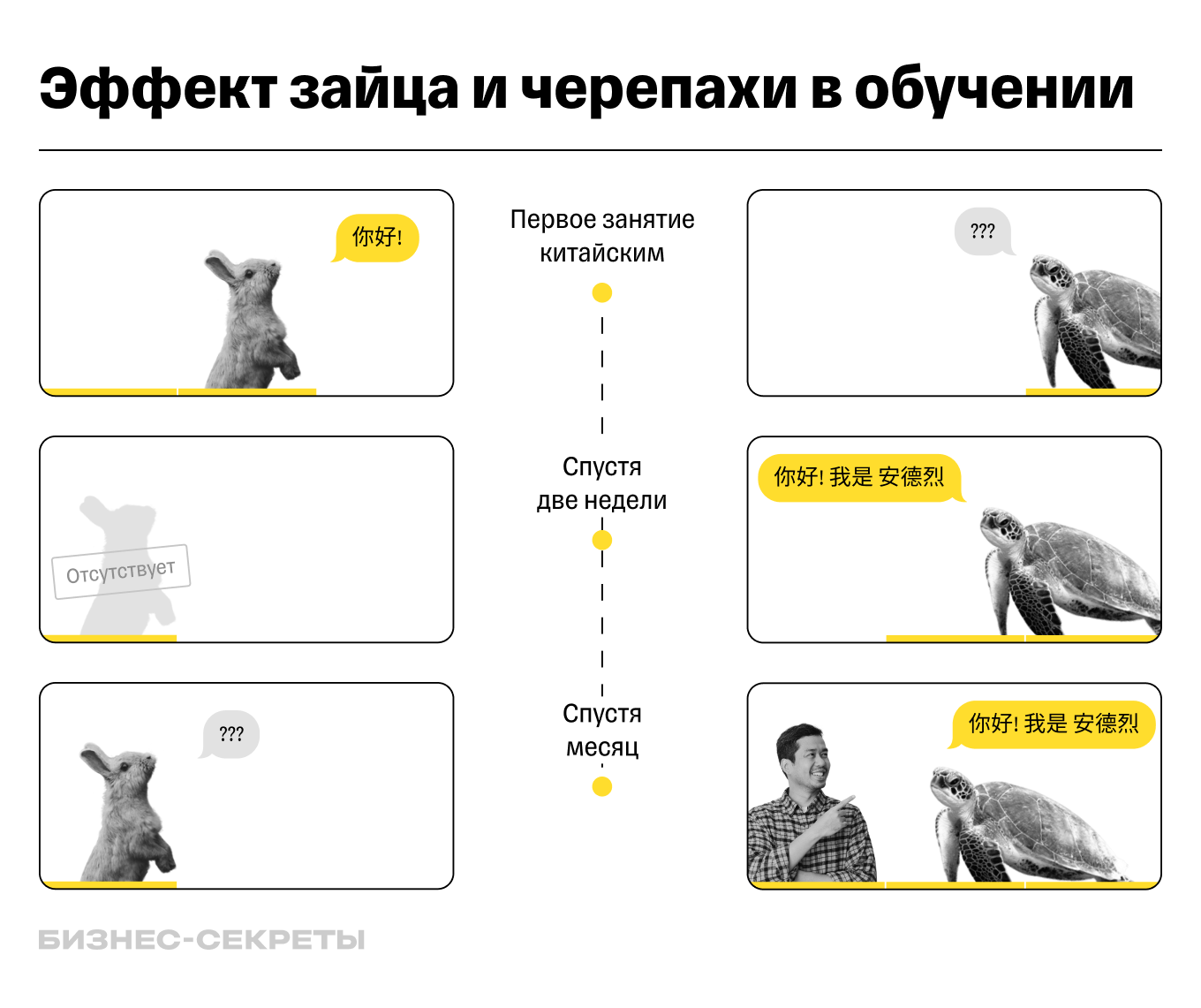 Эффект зайца и черепахи в обучении