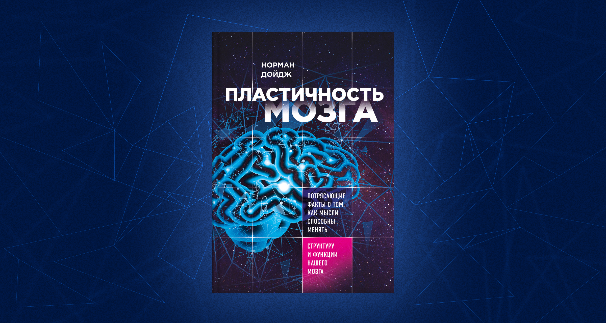 Норман Дойдж, «Пластичность мозга»: краткое описание и главные выводы