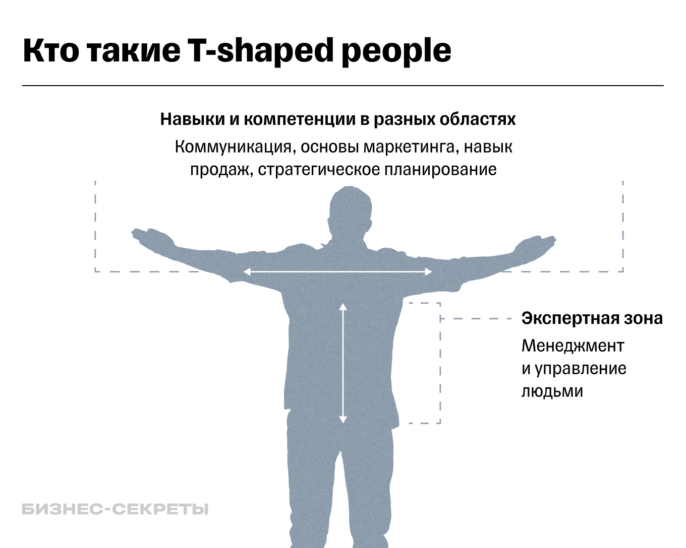 T-shaped специалист: кто это, зачем бизнесу Т-люди