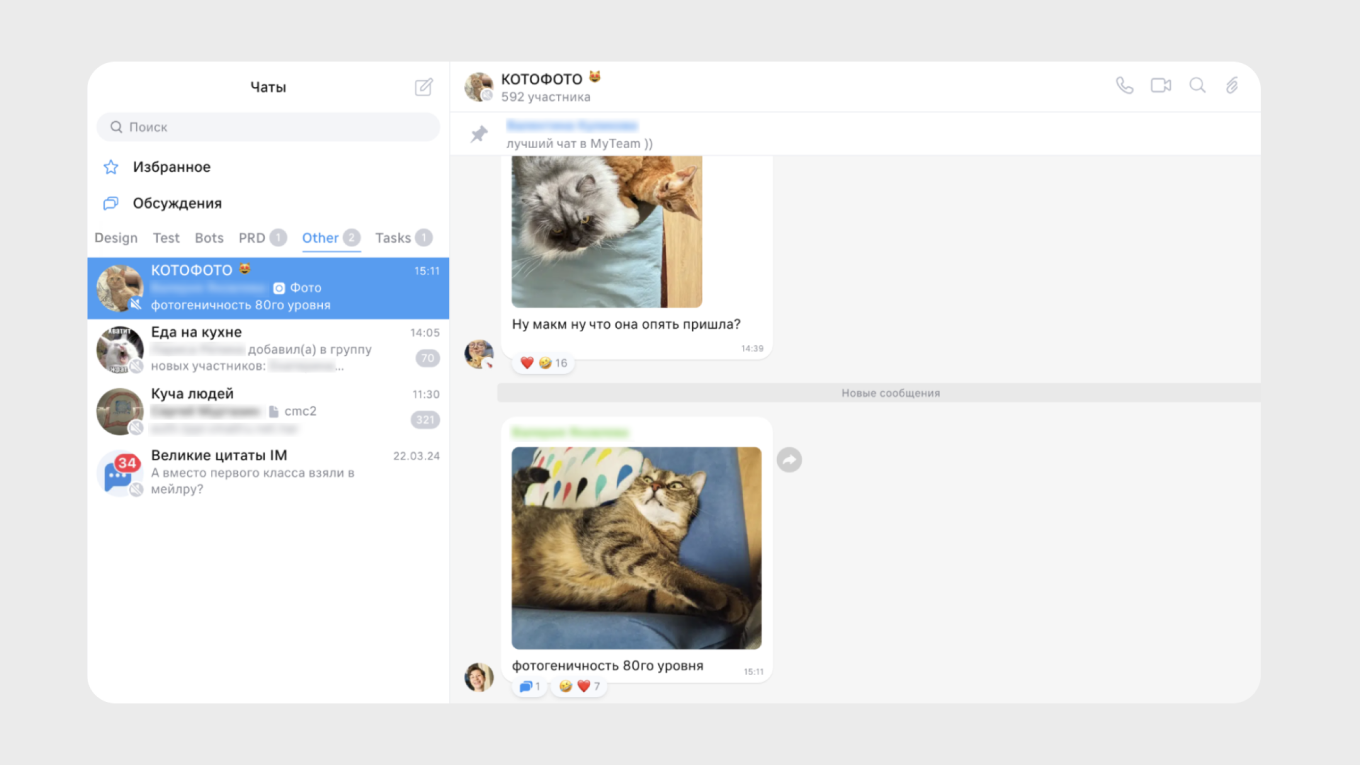 Мемы с котами в рабочем чате