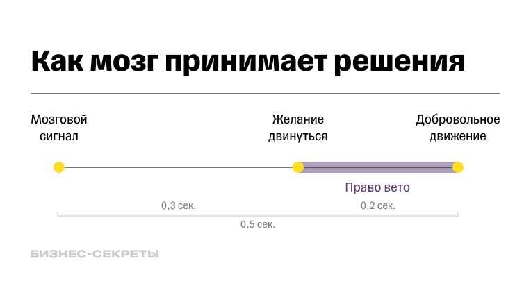 Схема — как мозг принимает решения