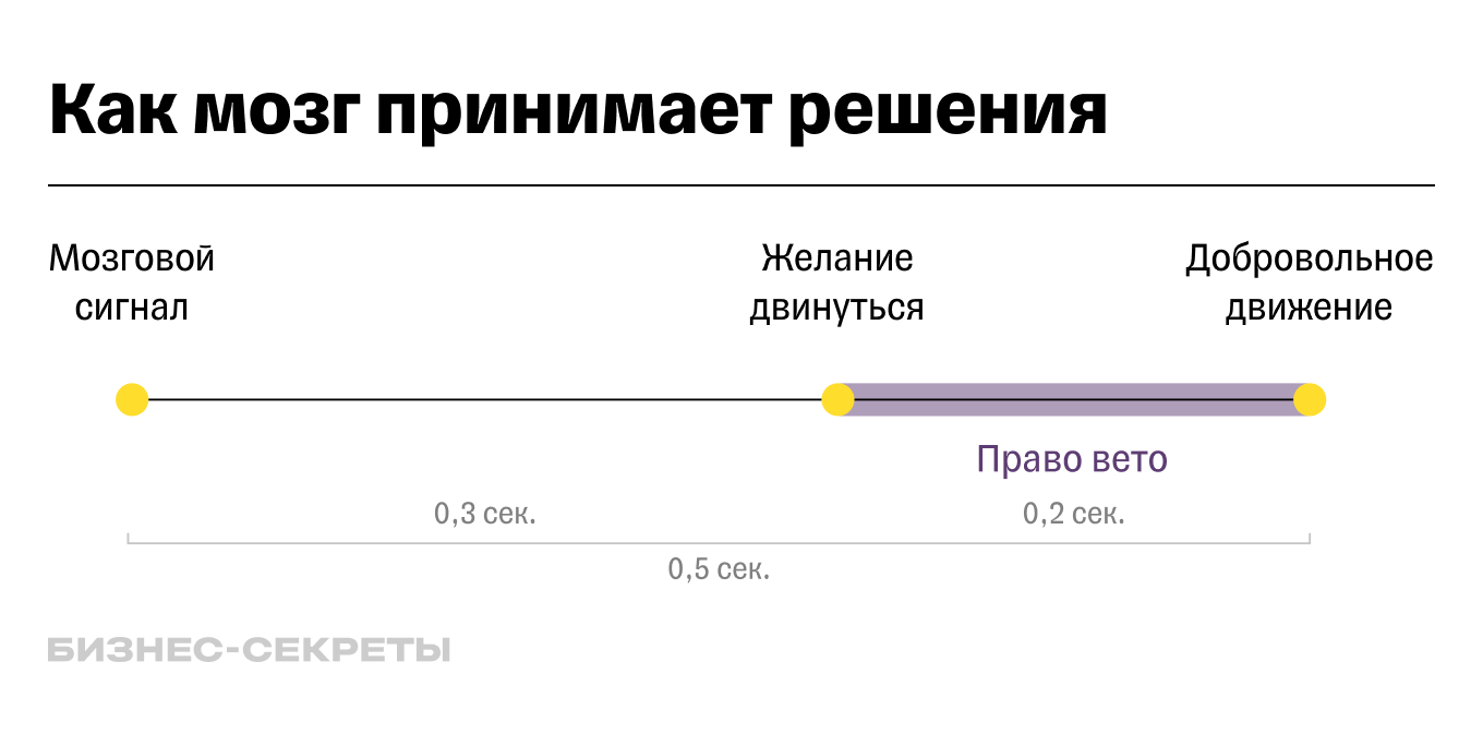 Схема — как мозг принимает решения