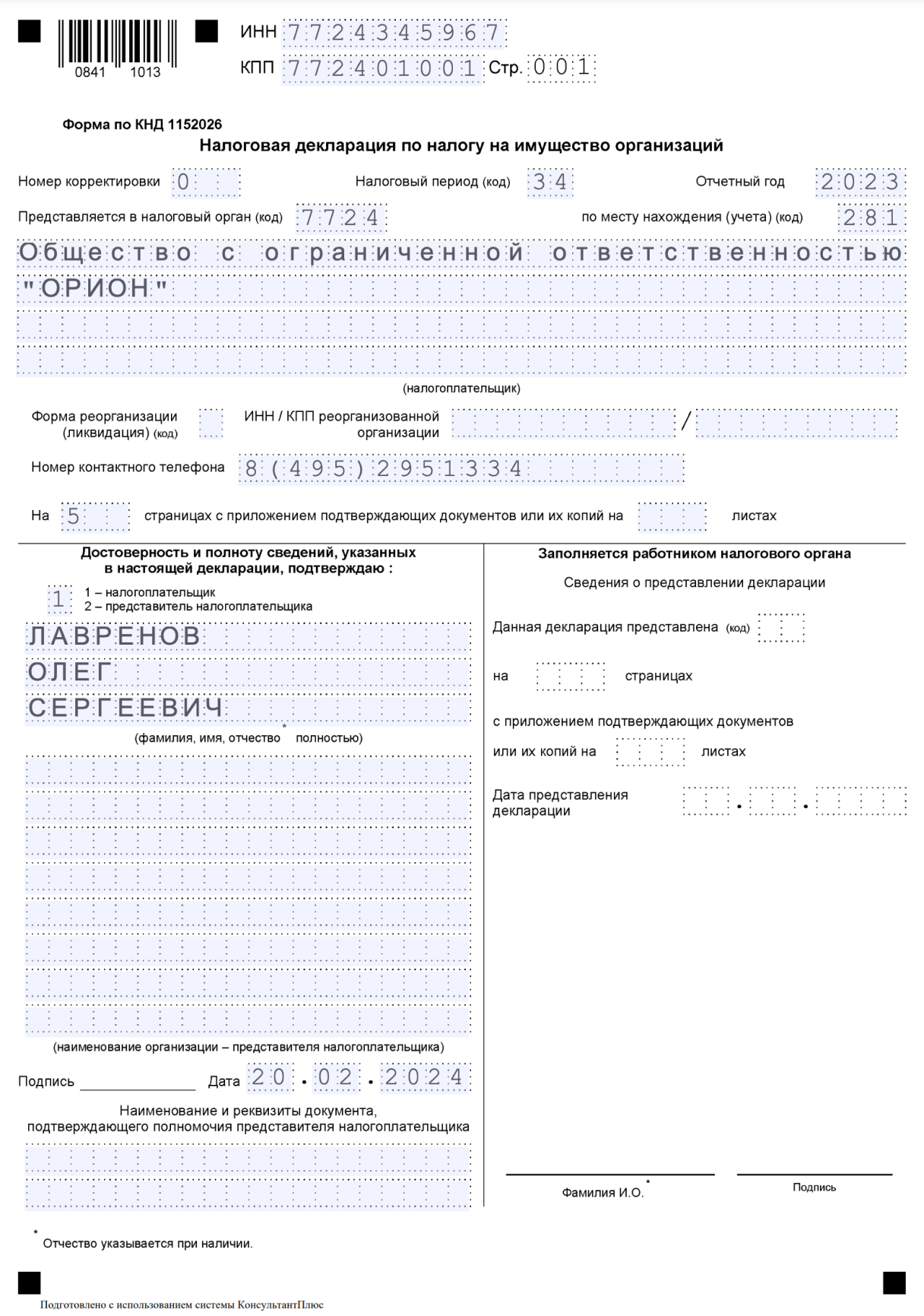 Образец первичной налоговой декларации