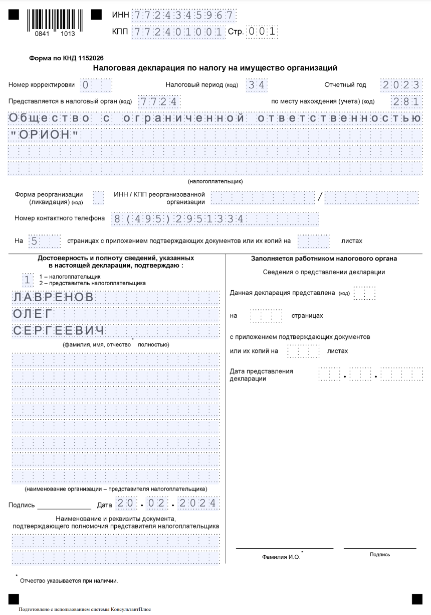 Образец первичной налоговой декларации