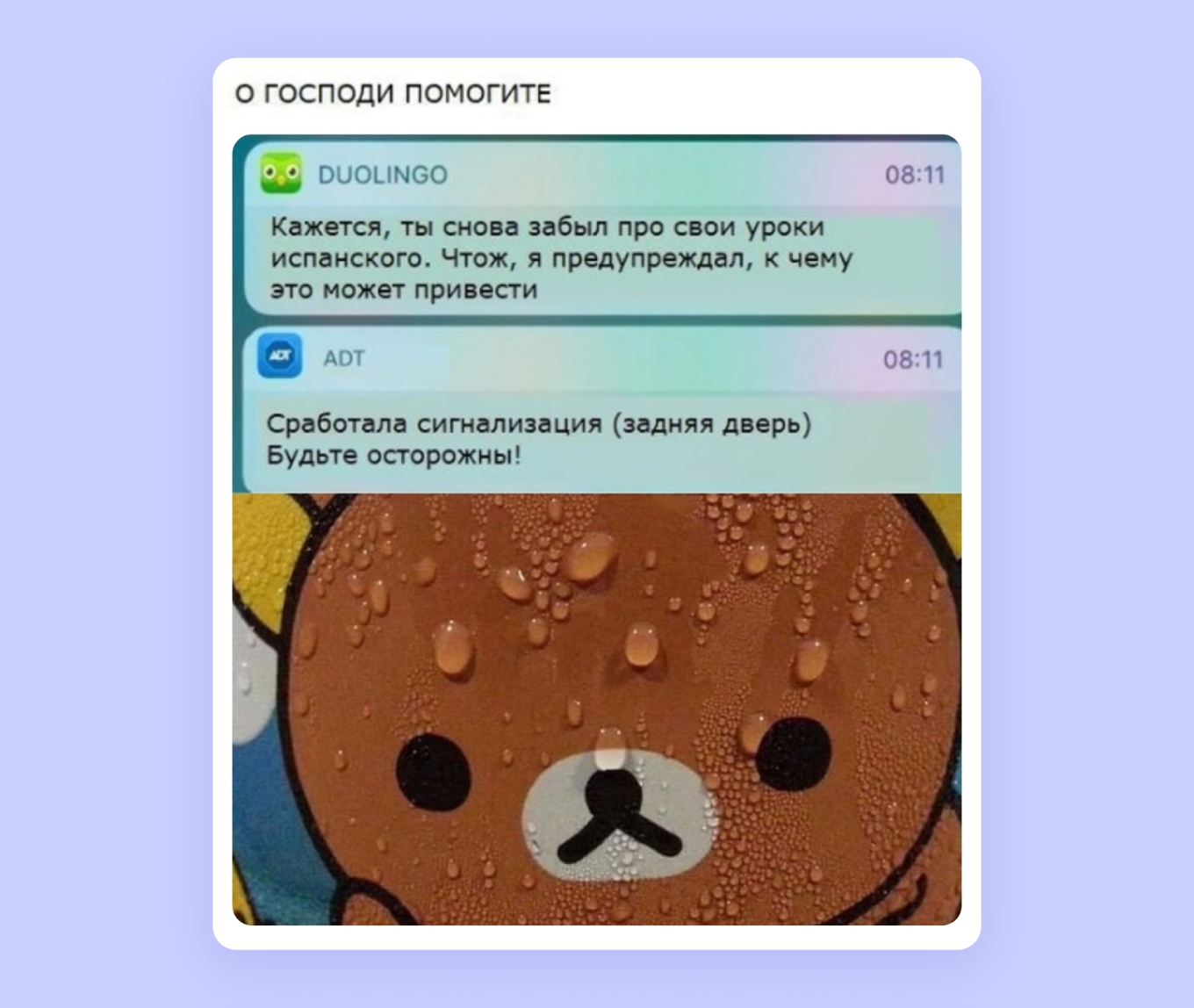 Мем с угрожающей совой Duolingo