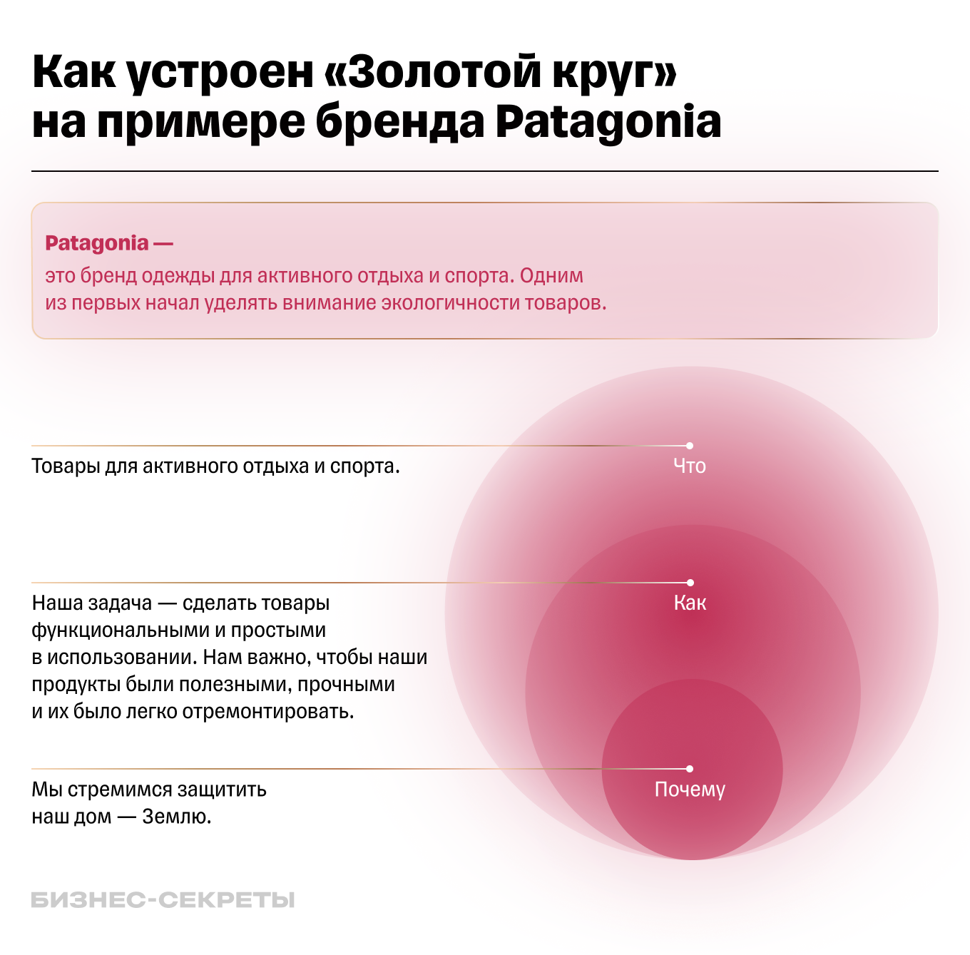 Как устроен «Золотой круг» на примере бренда Patagonia