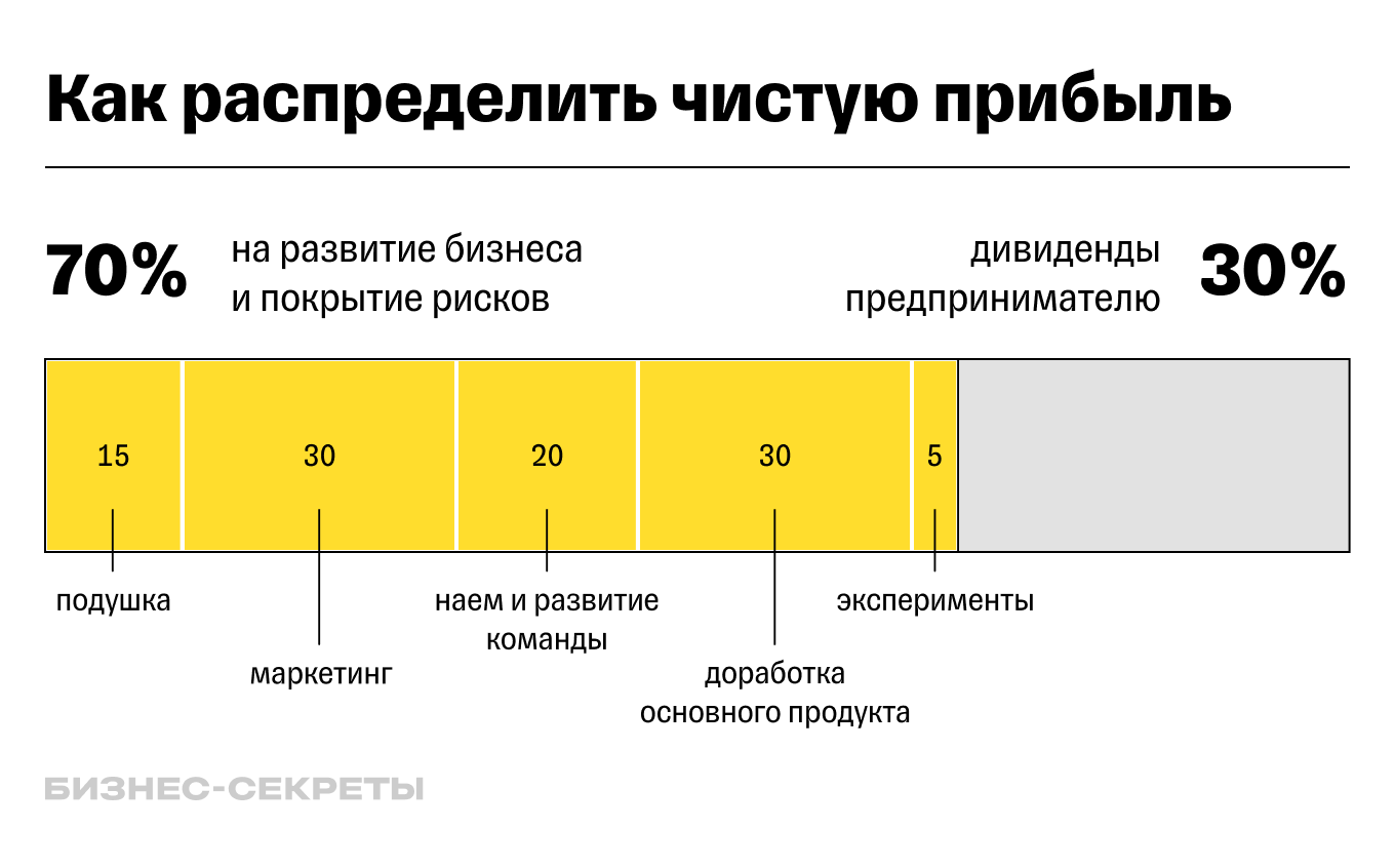 Как распределить чистую прибыль