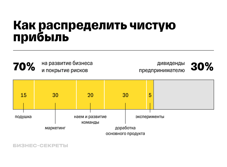 Как распределить чистую прибыль