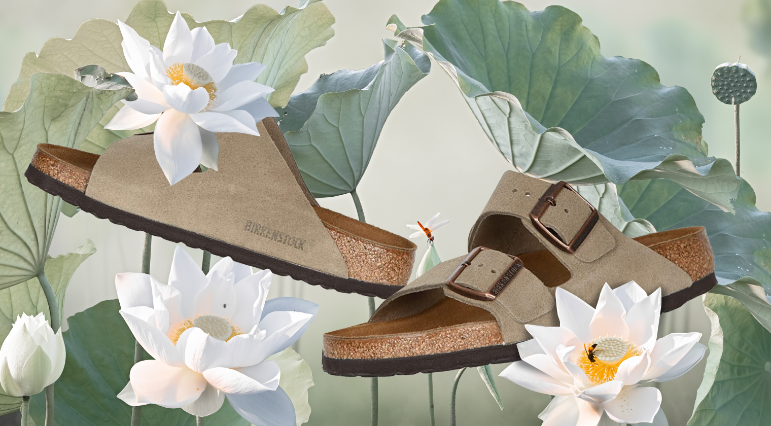 Культовая вещь: сандалии Birkenstock Arizona